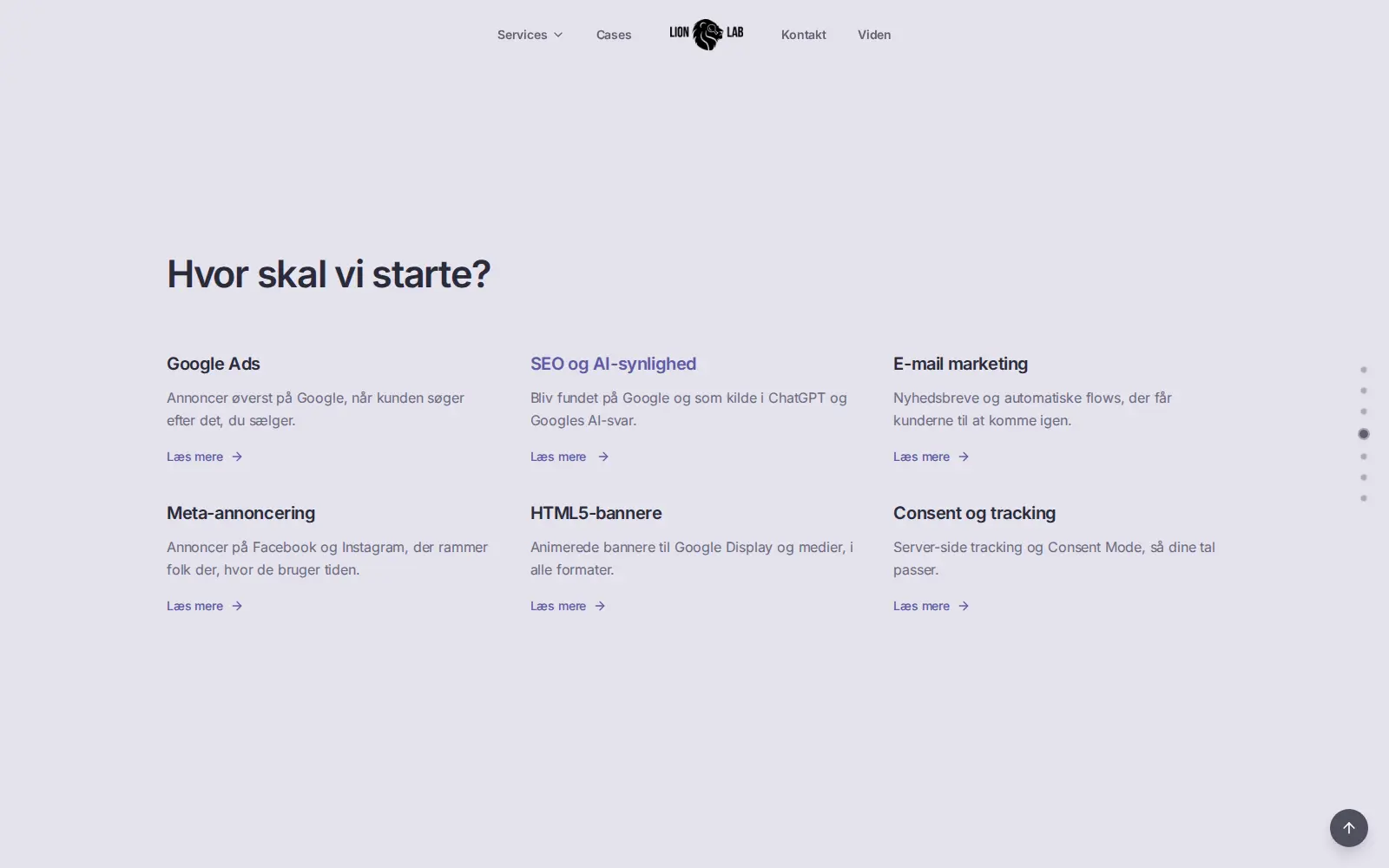 Lionlabs ydelser