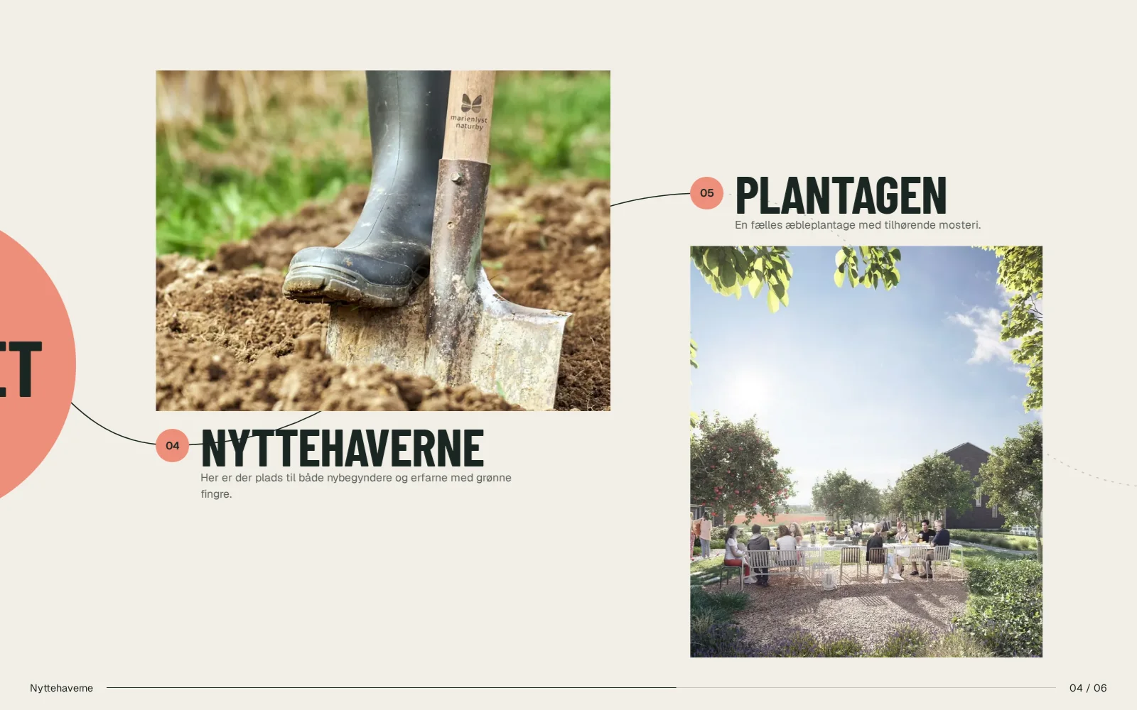 Marienlyst Naturby: Nyttehaverne og Plantagen på gåturen