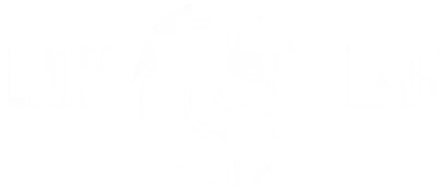 LionLab